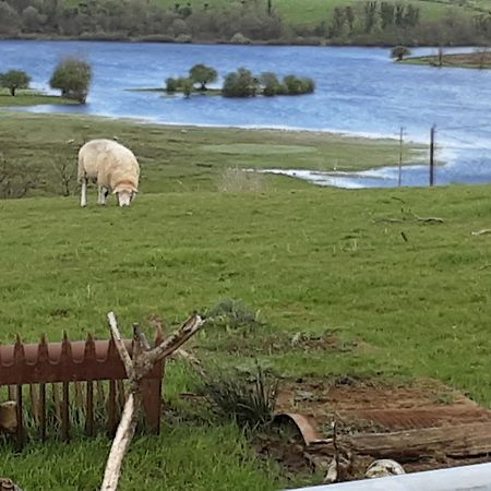 Hawthorn Lodge Belturbet Luaran gambar