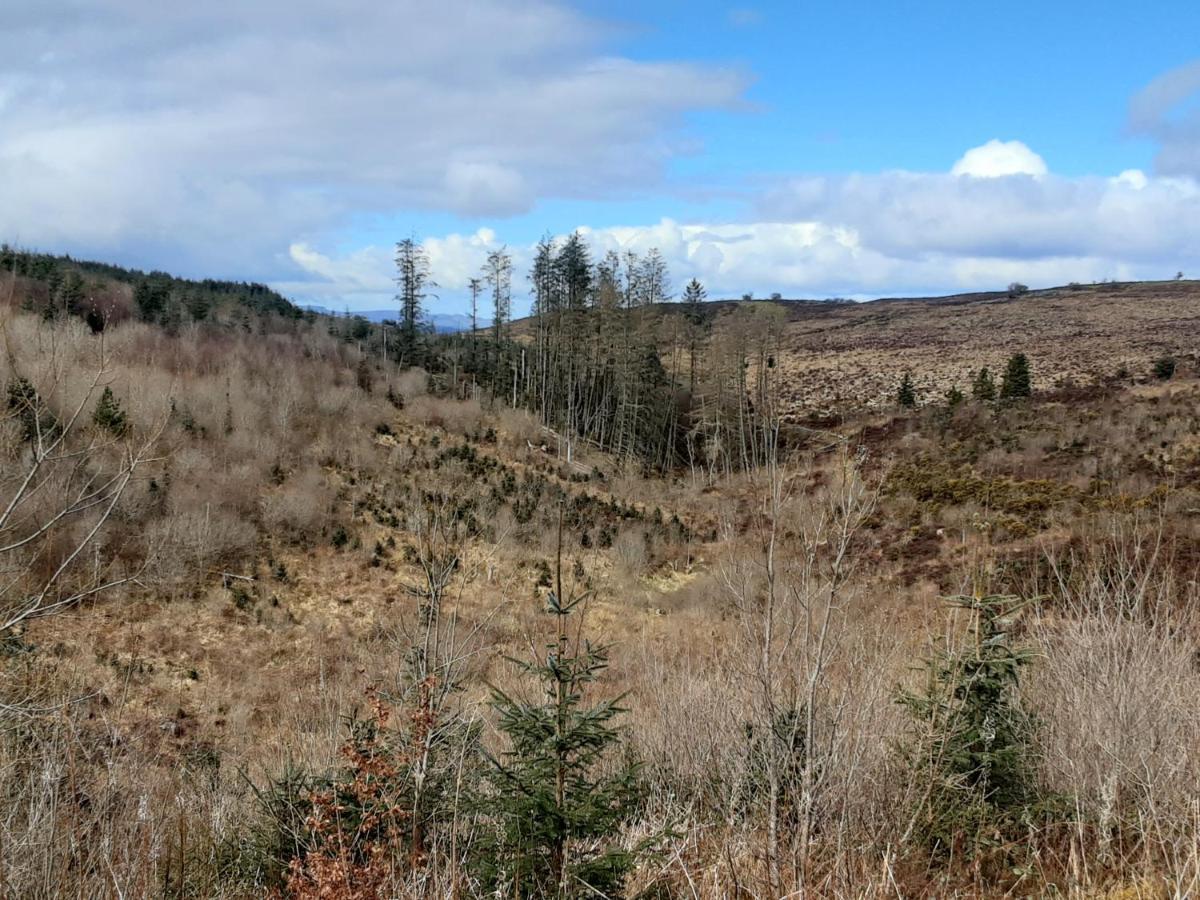 Hawthorn Lodge Belturbet Luaran gambar