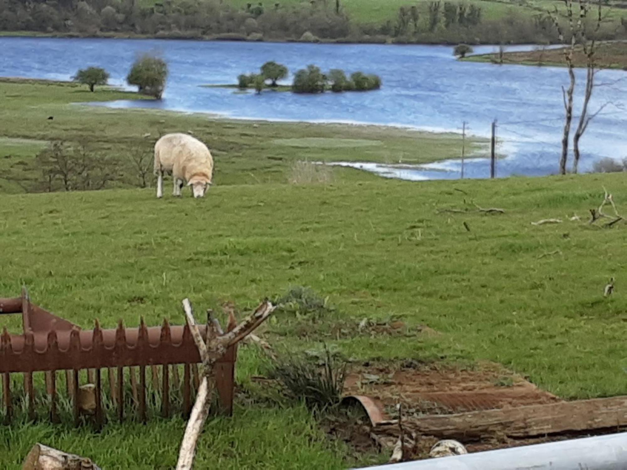 Hawthorn Lodge Belturbet Luaran gambar