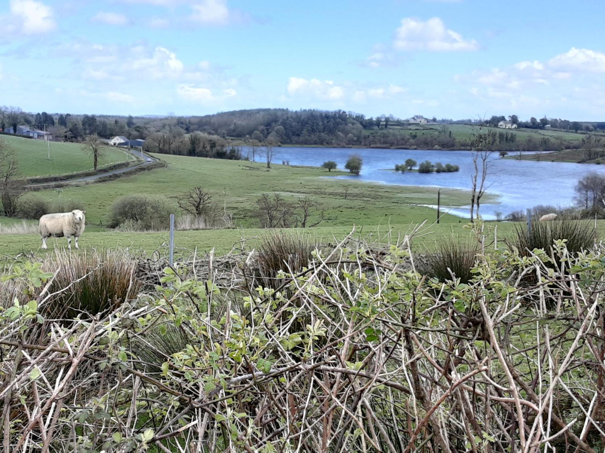 Hawthorn Lodge Belturbet Luaran gambar